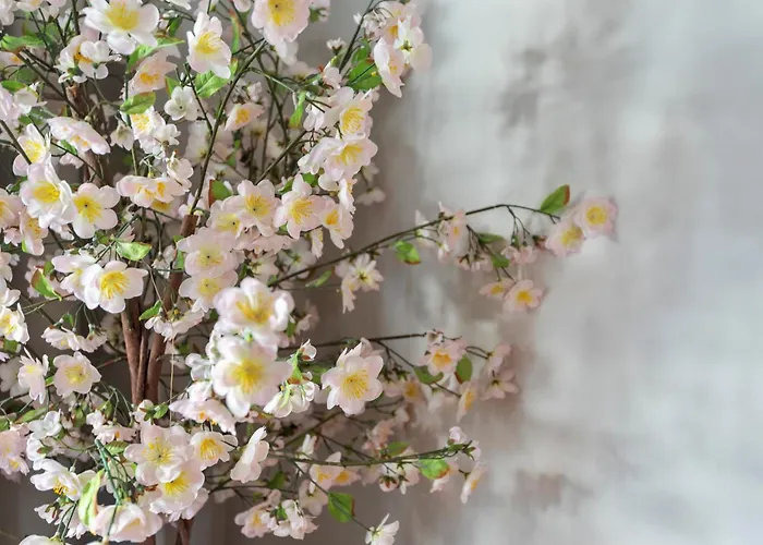 Boutique Bennekom - Studio's & *