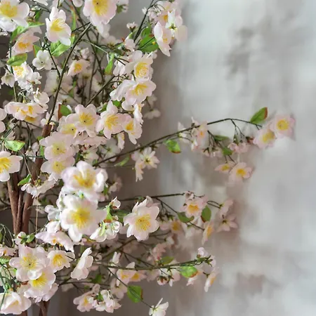 Boutique Bennekom - Studio's & *